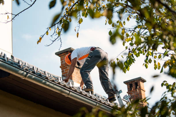 Best Roof Maintenance Services  in Chandler, TX