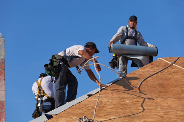 Best Storm Damage Roof Repair  in Chandler, TX