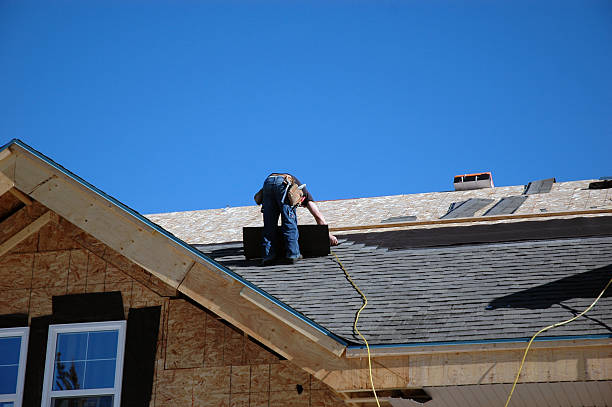 Best Roof Gutter Cleaning  in Chandler, TX