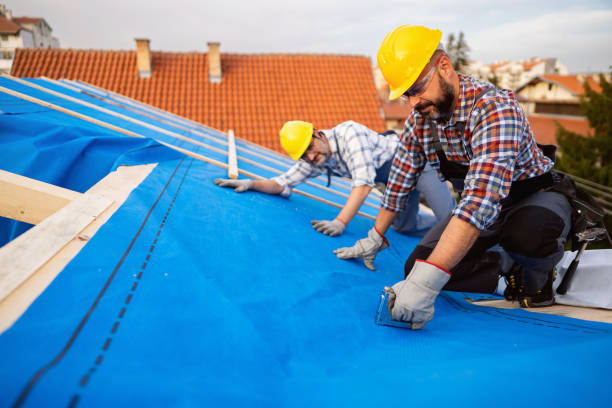 Best Gutter Installation and Roofing  in Chandler, TX