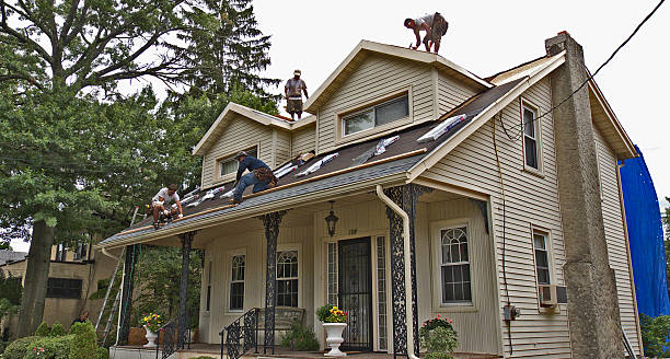 Best Local Roofing Companies  in Chandler, TX