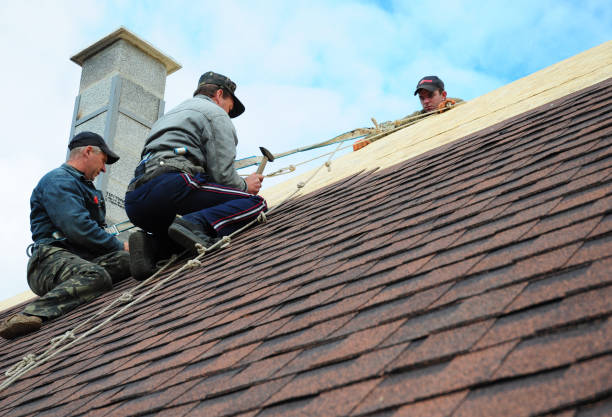 Best Residential Roofing Contractor  in Chandler, TX